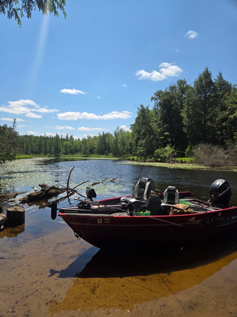 Fishing boat beside a lake, an example of larger estate sale items